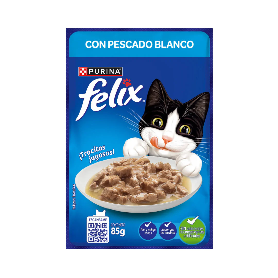 Gatos